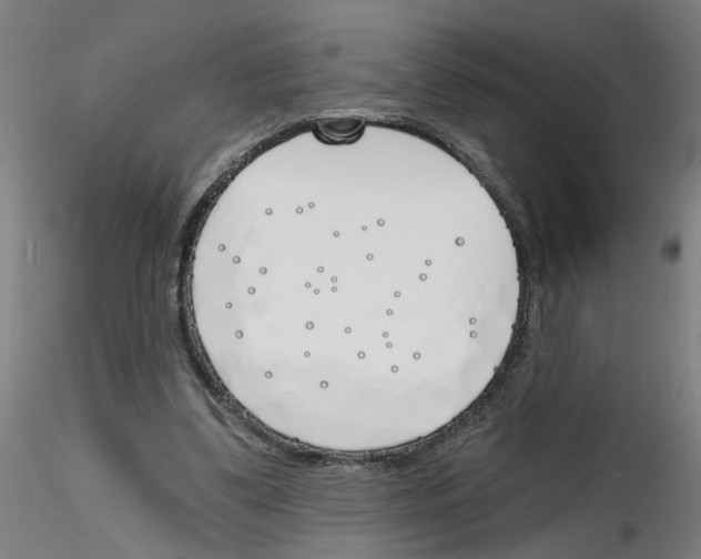 X0000116150299201001041059