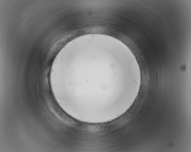 X0000116150302201001041059