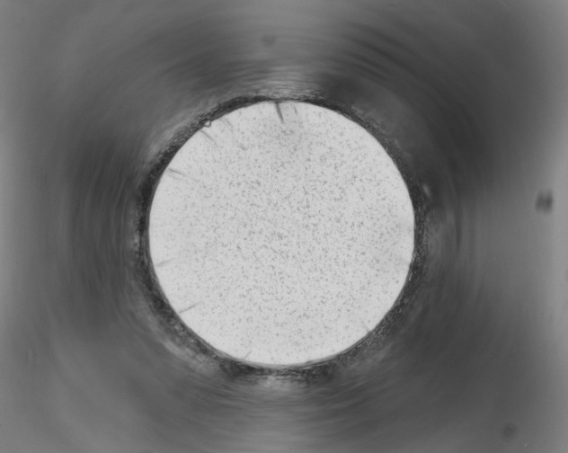 X0000116150303201001041059