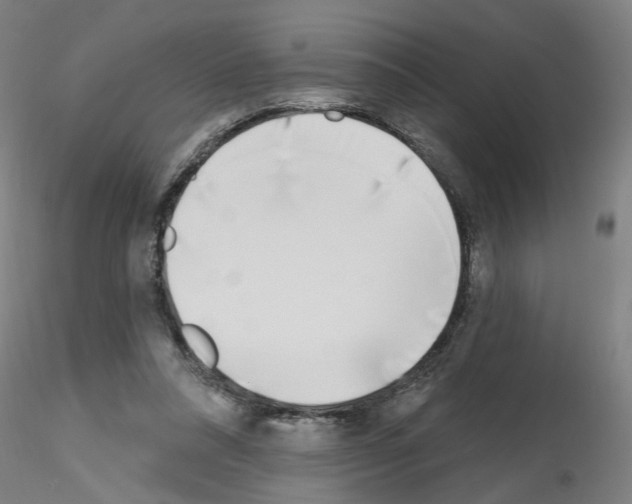 X0000116150304201001041059