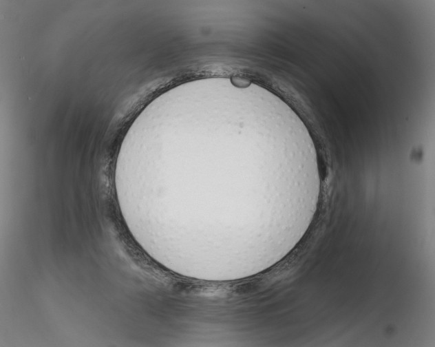 X0000116150306201001041059