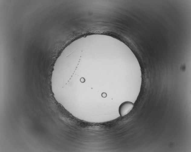 X0000116150307201001041059