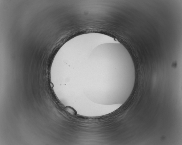 X0000116150308201001041059