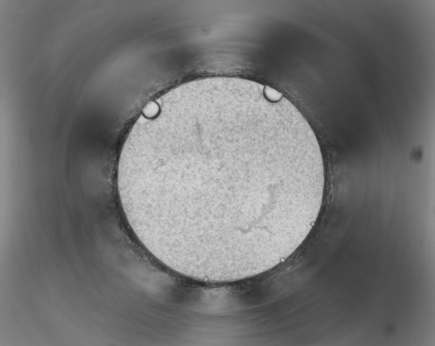 X0000116150309201001041059