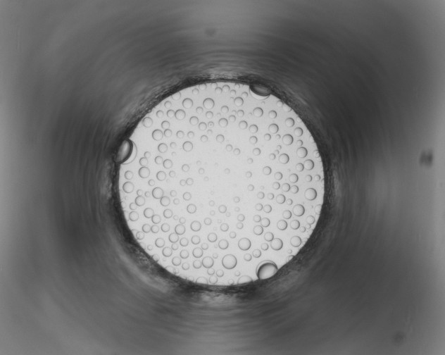 X0000116150311201001041059