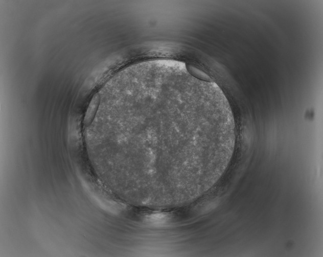 X0000116150312201001041059