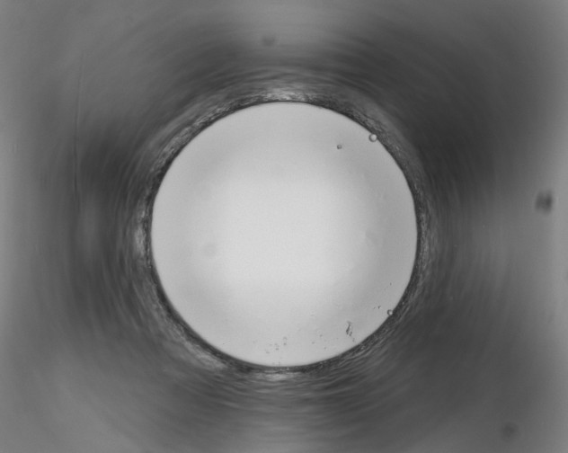 X0000116150313201001041059