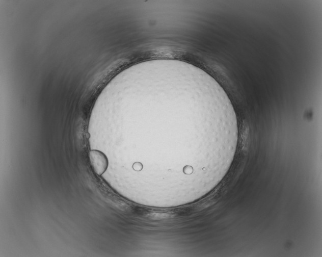 X0000116150314201001041059