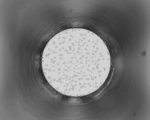 X0000116150319201001041059