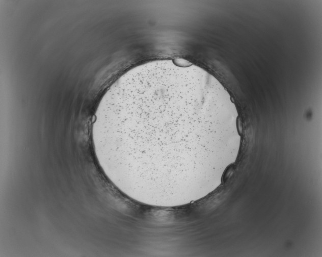 X0000116150325201001041058