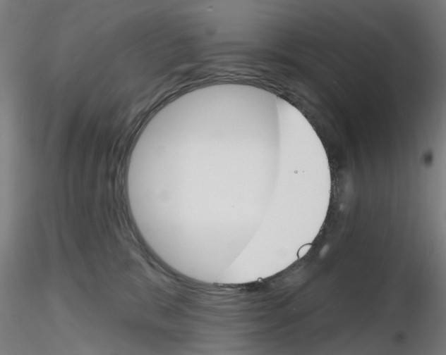 X0000116150327201001041058