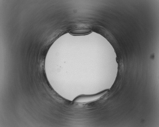 X0000116150329201001041058