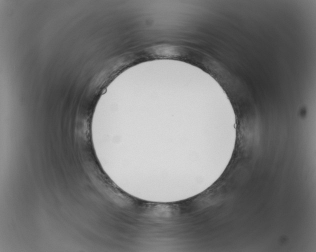 X0000116150330201001041058