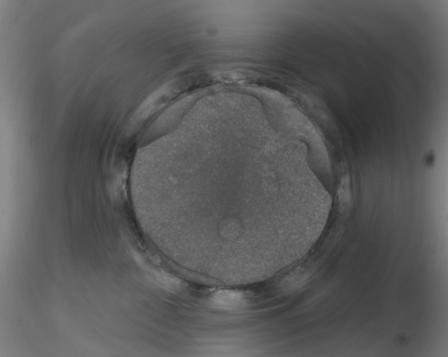 X0000116150332201001041058