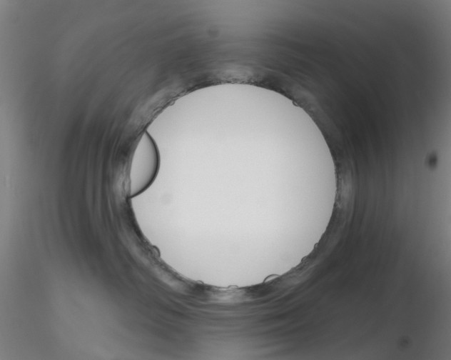 X0000116150334201001041058