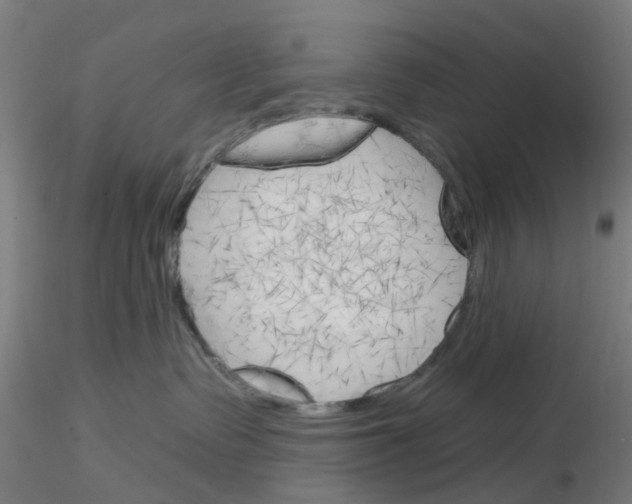 X0000116150335201001041058