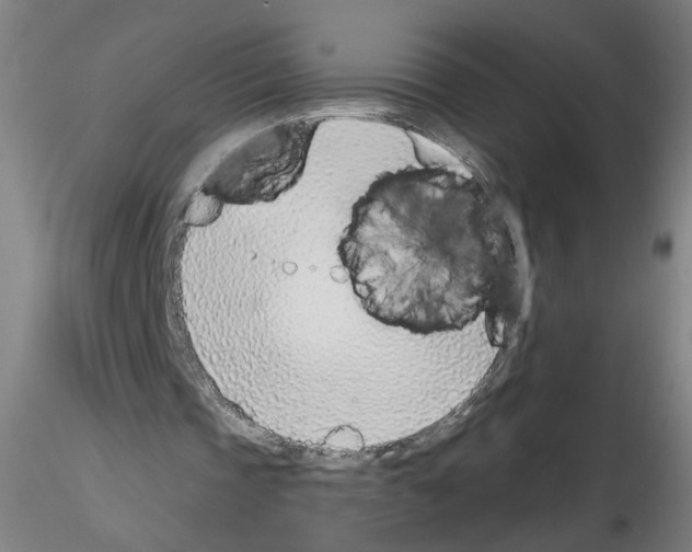 X0000116150337201001041058