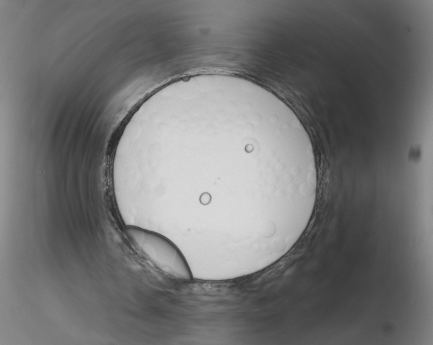 X0000116150338201001041058