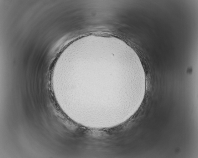 X0000116150339201001041058