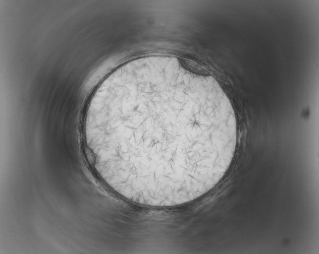 X0000116150341201001041058