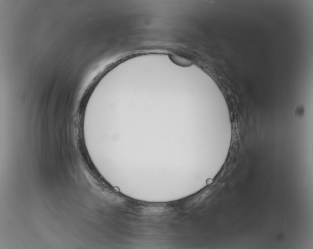 X0000116150342201001041058