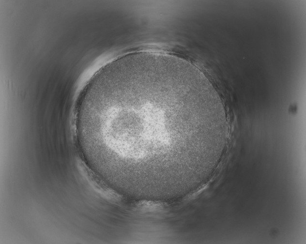 X0000116150343201001041058