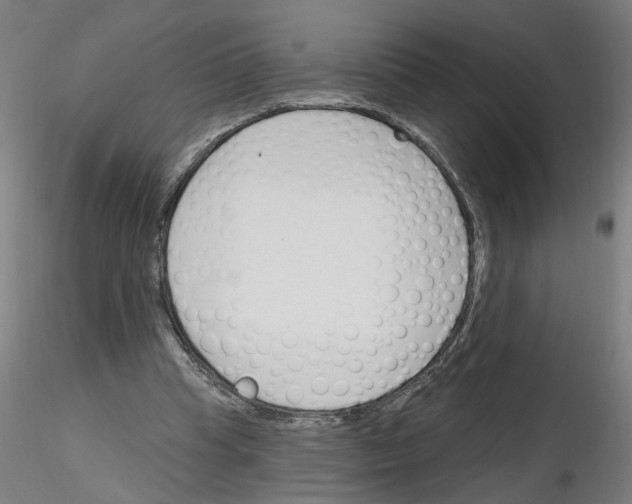 X0000116150345201001041058