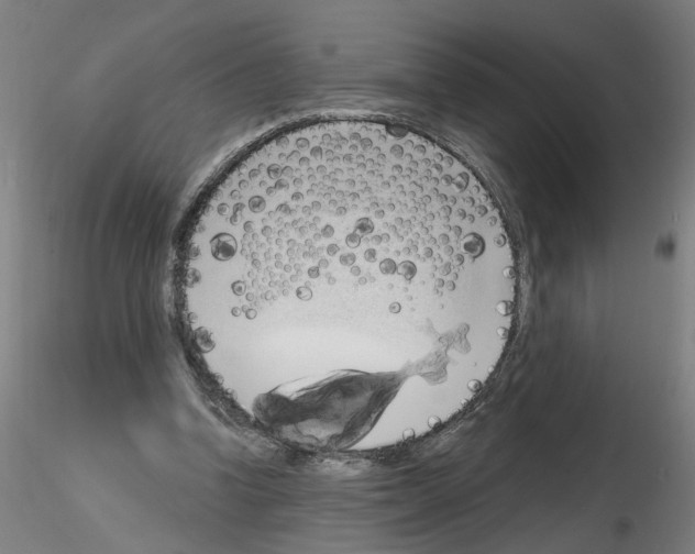 X0000116150346201001041058