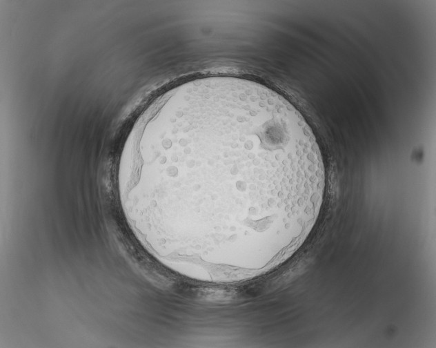 X0000116150347201001041058