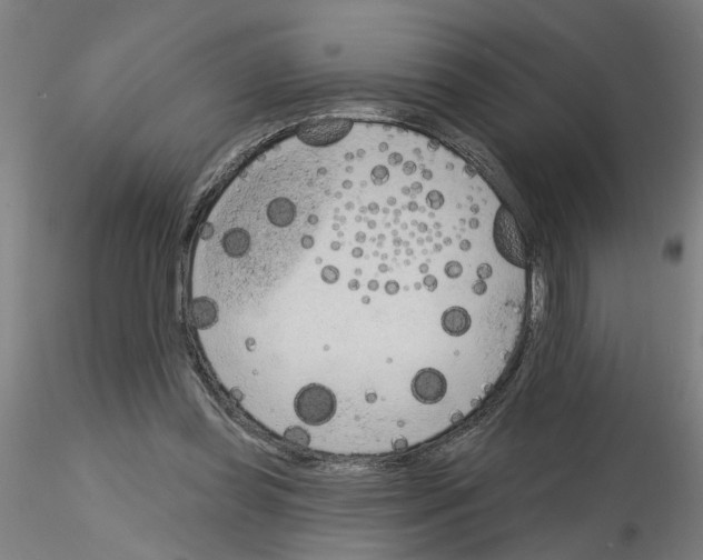 X0000116150349201001041058