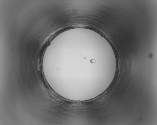 X0000116150351201001041058