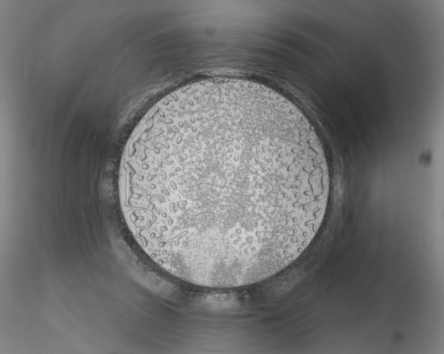 X0000116150353201001041058