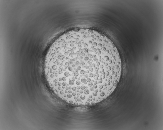 X0000116150354201001041058