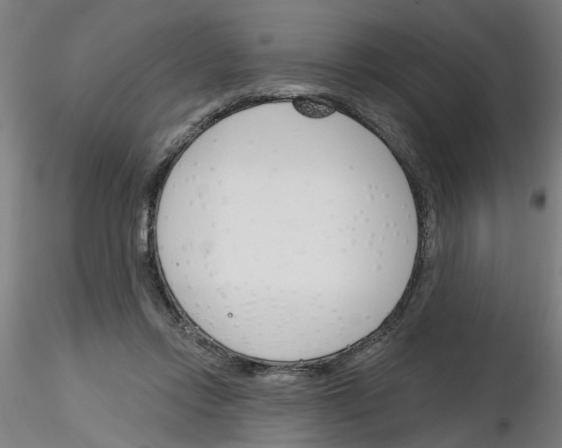 X0000116150358201001041058