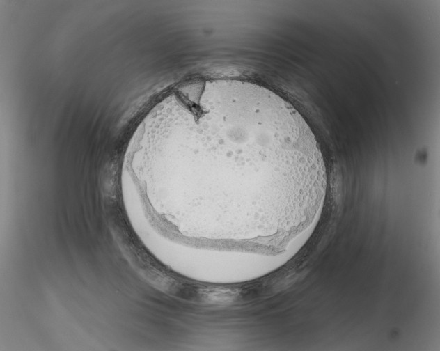 X0000116150359201001041058