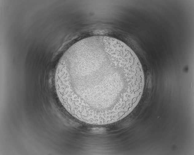 X0000116150363201001041058