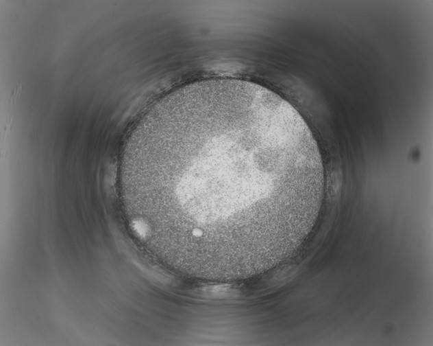 X0000116150365201001041058