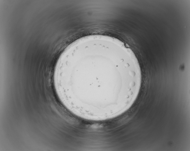 X0000116150366201001041058