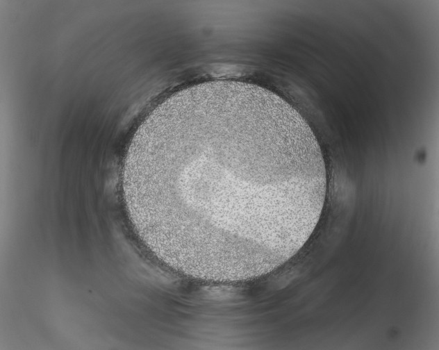 X0000116150367201001041058