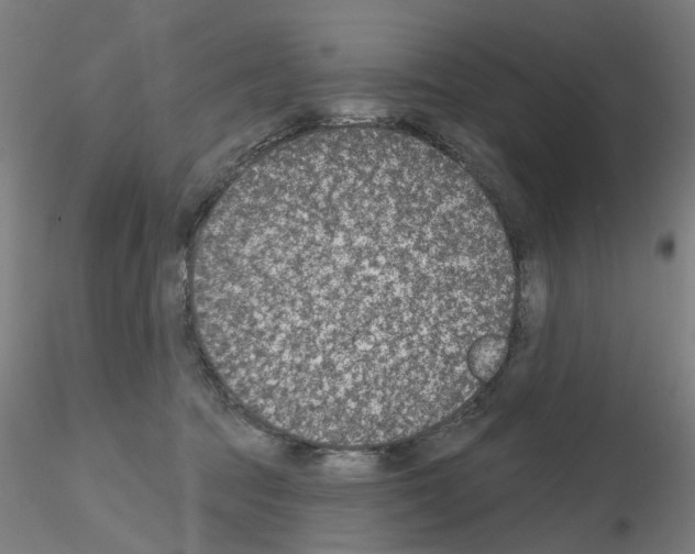 X0000116150369201001041058