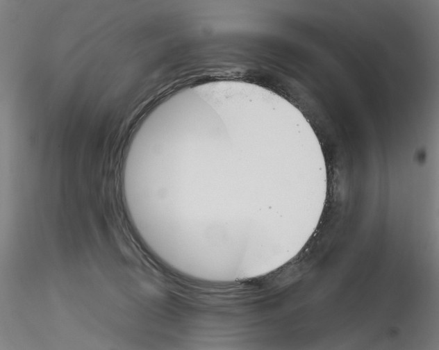 X0000116150370201001041058