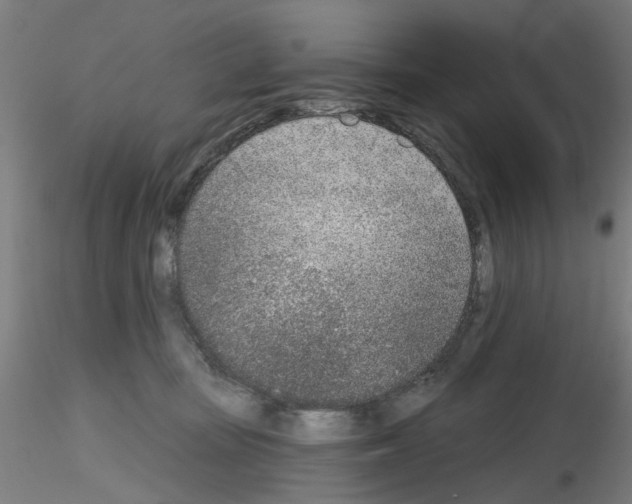 X0000116150371201001041058