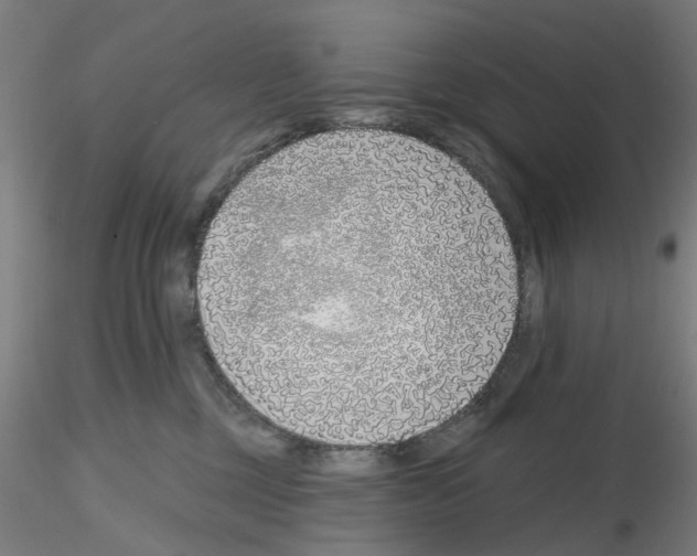 X0000116150377201001041058