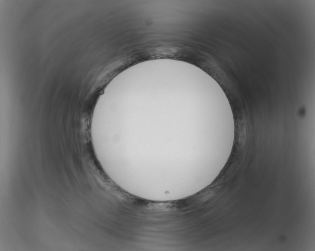 X0000116150378201001041058