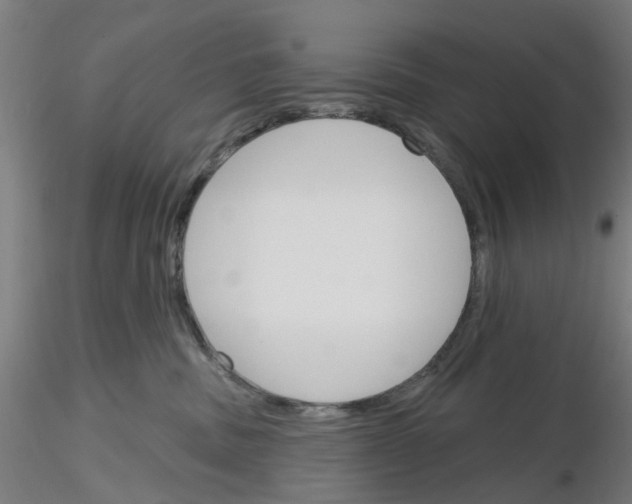 X0000116150379201001041058