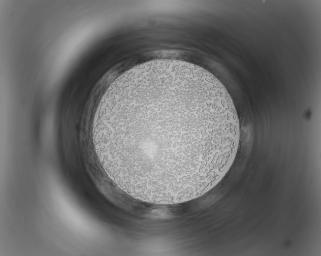 X0000116150381201001041058