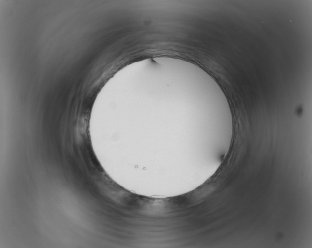 X0000116150382201001041058