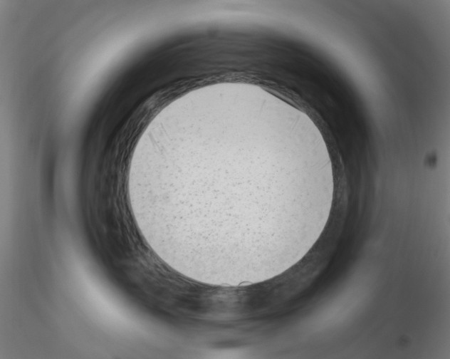 X0000116150383201001041058