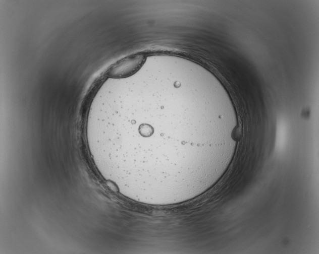 X0000116150388201001041058