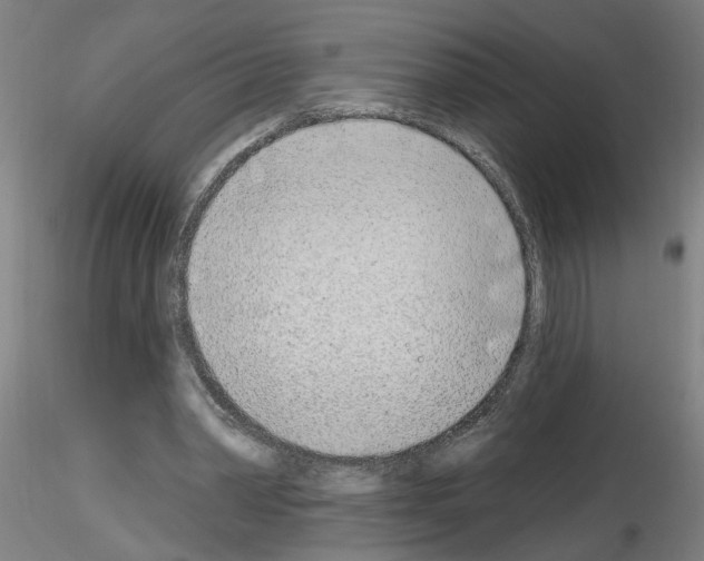 X0000116150390201001041058